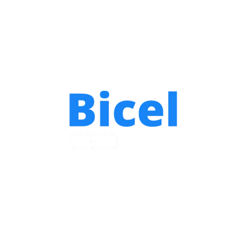 Bicel Solutions